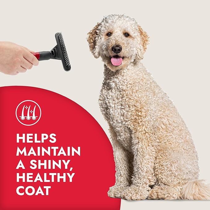 KONG Double-Sided Rake & Deshedding Tool – Detangling & Shedding Control, Rounded Metal Tips, Non-Slip Grip, for Medium to Large Dogs with Medium to Long Coats, Red/Gray
