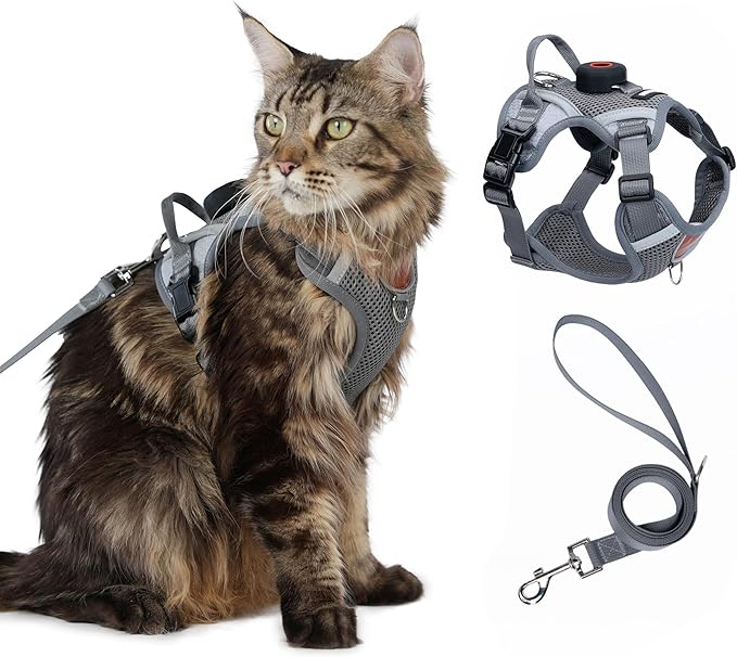 Cat Harness and Leash Set with AirTag Holder: Upgraded Escape Proof Vest with Lead for Small Dog Puppy Large Cat Walking，Soft Breathable Mesh Coat with Reflective Strip (Grey, L)