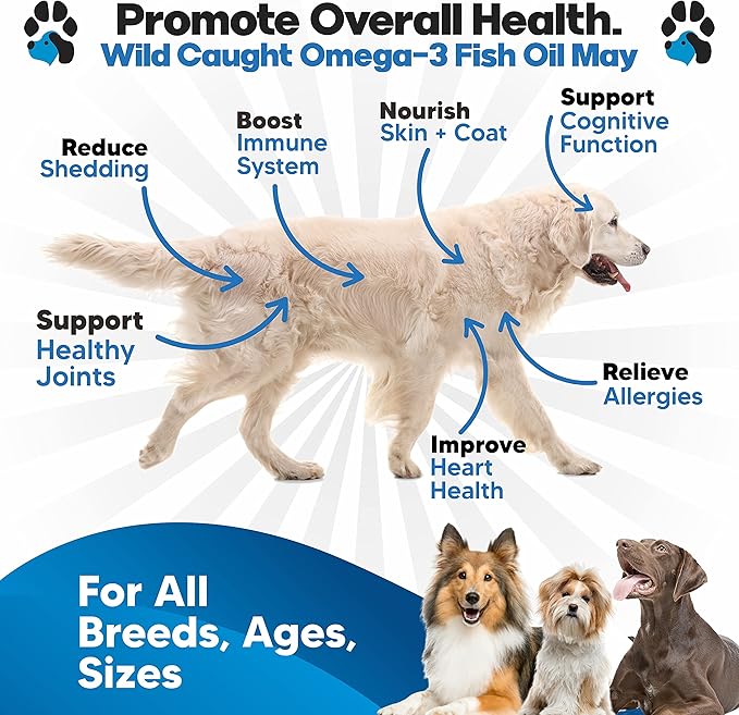 Omega 3 Fish Oil for Dogs - Better Than Salmon Oil - Dog Fish Oil Supplement to Reduce Shedding & Itching - Supports Joints, Brain, and Heart Health - Skin and Coat Supplement - Liquid Fish Oil