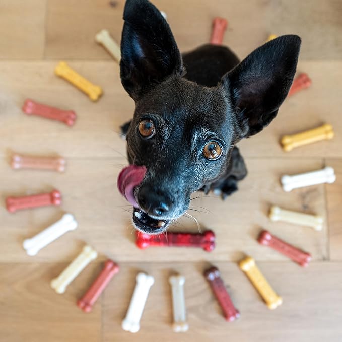 Nylabone Original Bone Power Chew Toy for Dogs, Durable Dog Toys for Aggressive Chewers, Flavor Frenzy Chili Cheese Dog, Popcorn, & Cherry, Small - Up to 25 Ibs, 3 Pack