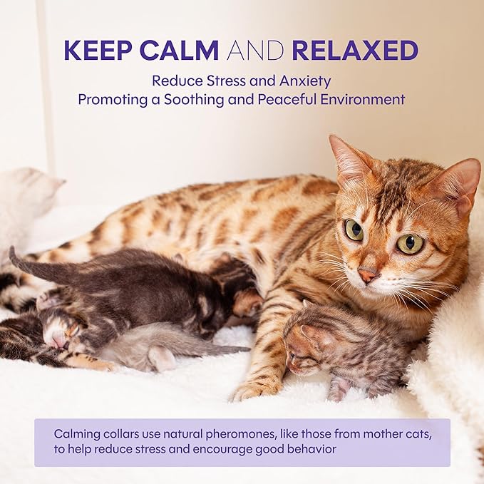Cat Calming Collar, 4-Pack Pheromone Collars for Cats (Purple) – Adjustable Breakaway, Water Resistant, Stress & Anxiety Relief, Helps Reduce Scratching, Noise Fear & Separation Anxiety