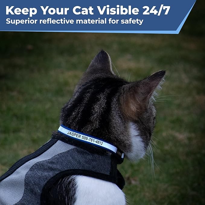GoTags Reflective Cat Collar Personalized, Custom Cat Collar with Engraved Name and Phone Number, Safety Collar with Breakaway Release Buckle and Bell, Adjustable for Cats and Kitten 5 Colors