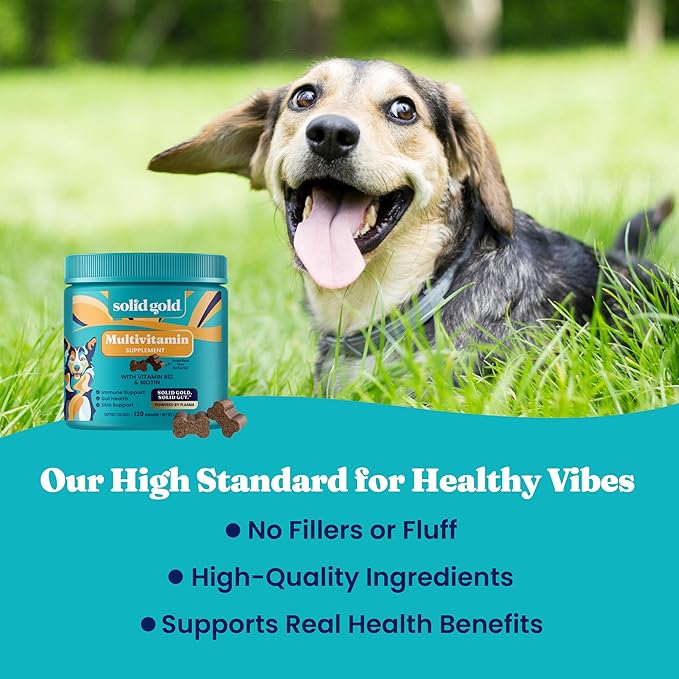 Solid Gold Dog Multivitamin - Soft Dog Vitamins & Supplements Chews - All-in-One Heart, Immune, Brain, Skin, Coat & Gut Health Support w/Vitamin C, B12, Probiotics & Antioxidants - Bacon Flavor 120ct