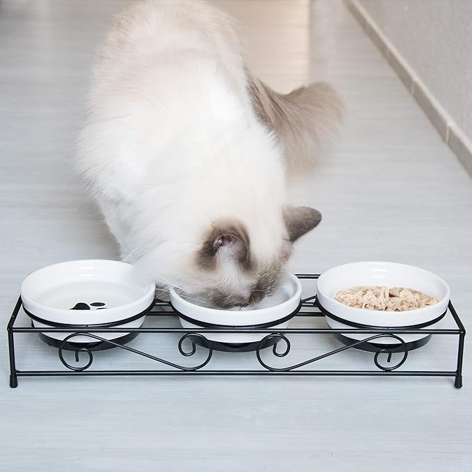 Navaris Ceramic Pet Bowl Set - Small Dogs, Puppies, and Cat Food Bowl with Non-Slip Retro Metal Stand - Dog or Cat Bowls for Indoor Cats and Dogs - Set of Bowls, 10.8 oz Each