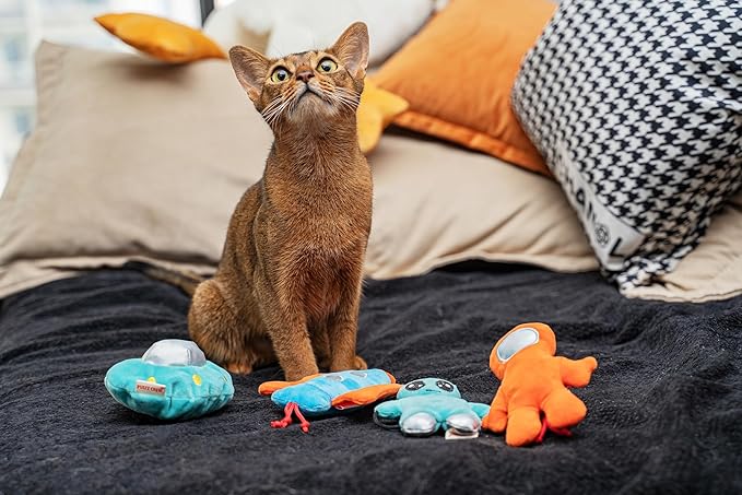 Interactive Catnip Cat Plush Toy, Space Travel Theme, 5‘’, for All Breed Size Cats (Spacecraft)
