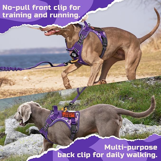 rabbitgoo Tactical Dog Harness for Small Dogs, No Pull Military Service Vest with Handle & Molle, Easy Control for Training Walking, Adjustable Reflective Straps, Purple Camo, S