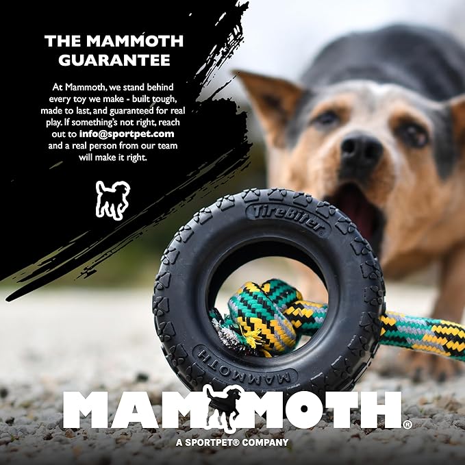 Chew King by Mammoth Glow-in-the-Dark Dog Fetch Balls (4-Pack Combo), Lattice & Rubber Fetch Toys for Night Play, High Bounce, Rechargeable Under Any Light, Multiple Sizes