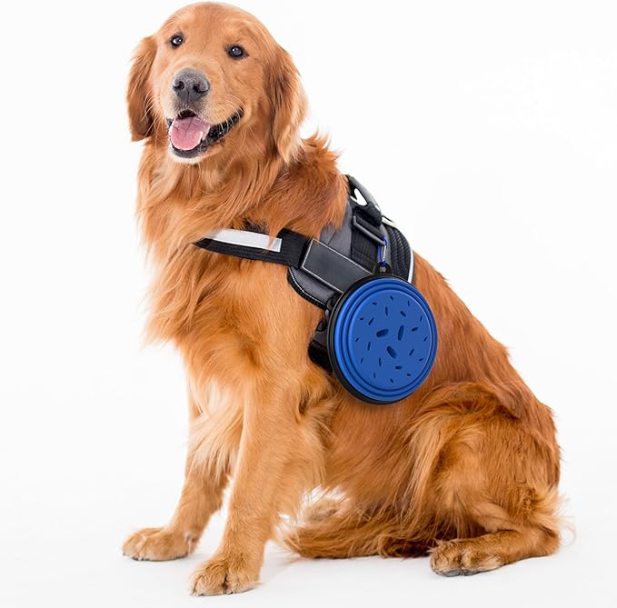 Dog Bowl Pet Collapsible Bowls Slow Feeder Dog Bowls, 2 Pack for Cats Dogs 34 oz, Portable Foldale Pet Water Food Feeding Dishes for Walking Hiking Traveling with 2 Carabiners (Blue+Black)