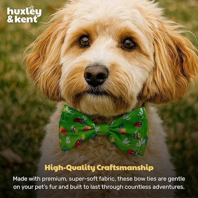 Huxley & Kent Pet Bow Tie for Dogs & Cats - Spring Theme Adjustable Hook & Loop Collar Accessory - Cute & Comfortable for Holidays & Celebrations - Garden Party, Extra-Large