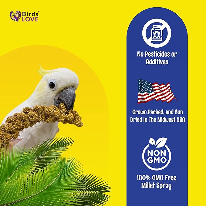 1lb Economy & Special Spray Millet for Birds – GMO-Free, No Stems (Only Edible Tops) – 100% Natural Sun-Dried Foraging Treat for Cockatiels, Lovebirds, Parakeets, Finches & Canaries