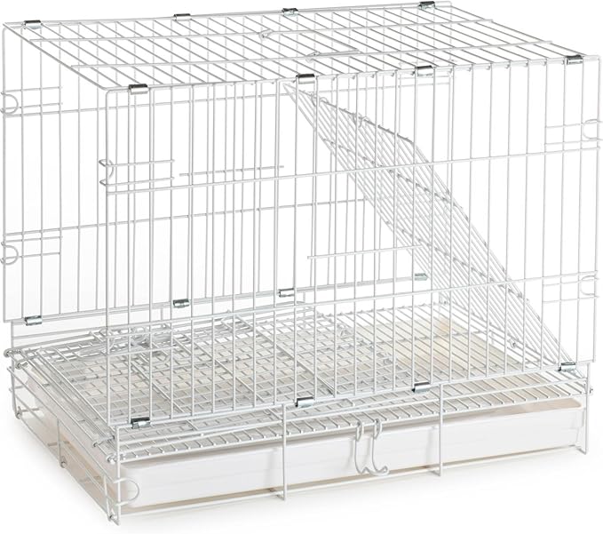 Durable Easy Portable Collapsible Metal Travel or Veterinary Collapsable Parrot Bird Carrier Bite-Proof Easy Clean Carrier Cage with Stainless Steel Feeder Bowls Natural Wooden Perch