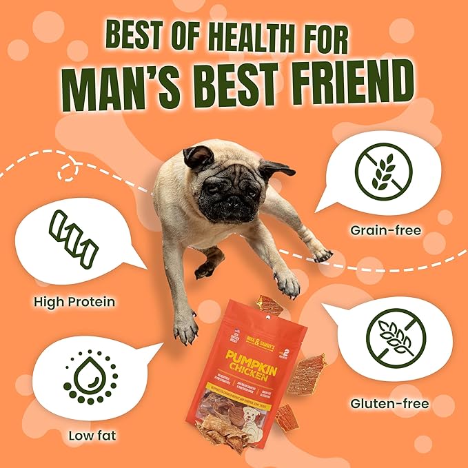 Gourmet Jerky Dog Treats -Made in USA only, Cage-Free, No Additives (Pumpkin Chicken 12 oz)