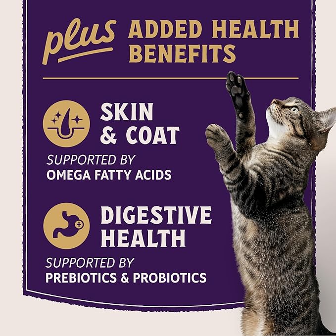 Natural Balance Ultra Protein Plus Dry Cat Food, Skin & Coat and Digestive Health Real Salmon & Chicken Meal Recipe with Chicken Liver & Chicken Heart, High Protein Cat Food for Picky Cats - 5 lbs
