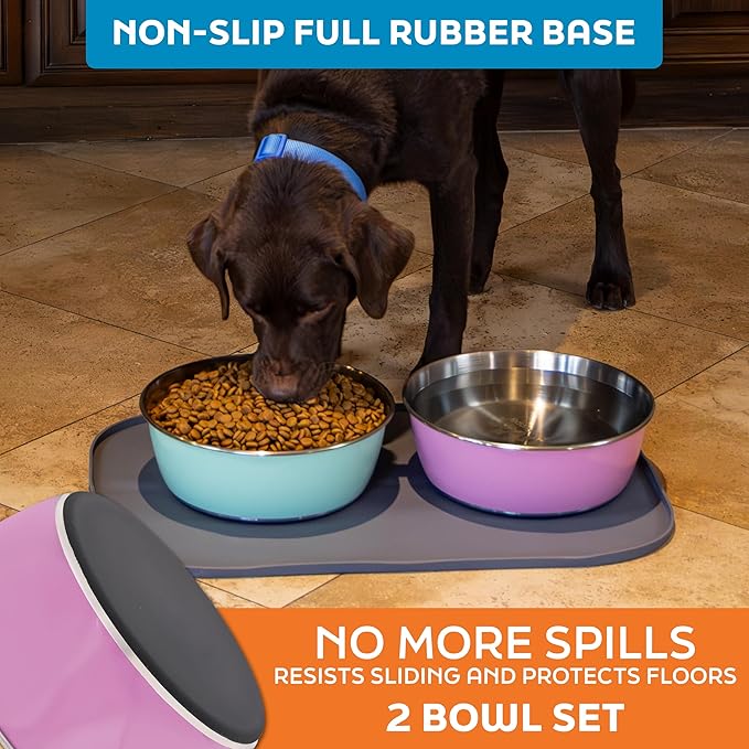 Master Pet Supply Stainless Steel Dog Bowls Set of 2 (64 Oz Each) with Non-Slip Rubber Base - Hyper Pink - Basic Dog Food Bowl Water & Food Bowls for Small Medium Large Dogs & Cats, Metal Dish