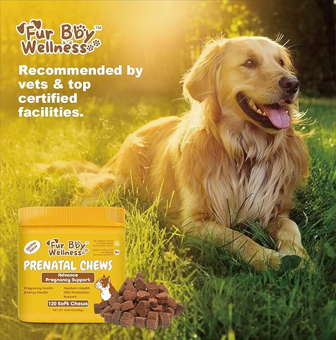 Dog Prenatal Vitamins - Supports Healthy Pregnancy, Puppy Growth & Lactation - with Folic Acid, Iron & Calcium - Advanced Supplement for Pregnant & Nursing Dogs - 120 Soft Chews