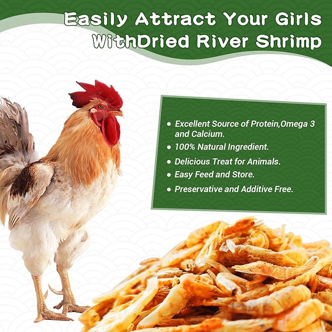 1lb Dried River Shrimp for Chicken, High Protein Freeze Red Dried Shrimp All Natural Treat for Turtles, Reptiles, Fish & Poultry, Perfect for Aquariums, Ponds, Backyard Chickens and Birds