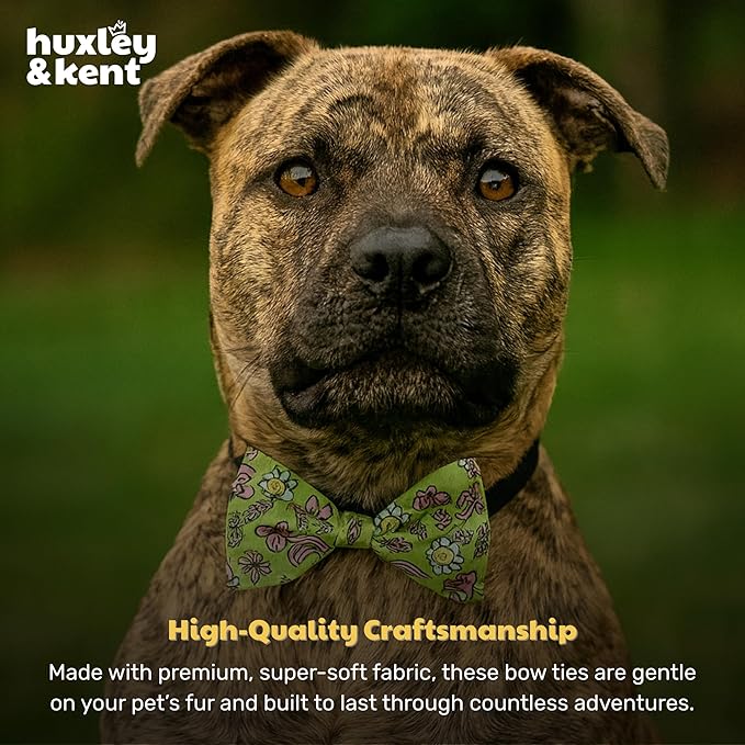 Huxley & Kent Pet Bow Tie for Dogs & Cats - Spring Theme Adjustable Hook & Loop Collar Accessory - Cute & Comfortable for Holidays & Celebrations - Everything Spring, Large