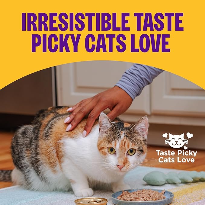 Wellness Complete Health Pate Kitten Wet Cat Food, Natural, Protein-Rich, Grain Free, 3 Ounce, 24 Pack, (Chicken)