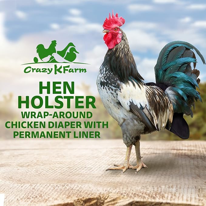 Hen Holster Premium Starter Kit - Bird Diaper, Wrap Around for Hens, Roosters, Ducks - Leak-Proof, Comfortable Bird Harness with Sewn-in Liner, Secure Hook & Loop Closure - Large, Black