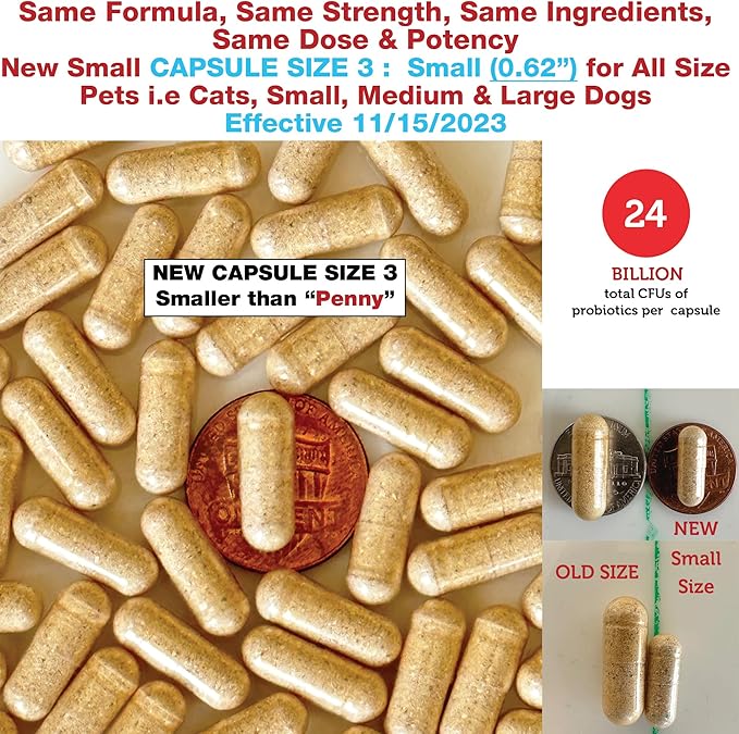 Azovast Plus Cat Kidney Support for Dogs & Cats, 120ct, 120ct - NO Refrigeration Required - Help Support Kidney Function & Manage Renal Toxins - Kidney Health Supplement Capsule(U.S.A) (120 Caps)