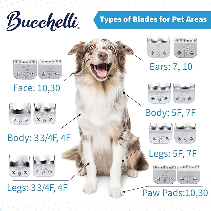 Detachable A Series 7f Blades for Dog Grooming Full Tooth Cuts Length 1/8" - 3.2mm Japanese High Carbon Steel 7F Dog Grooming Blade Supplies | 7f Blade Clippers (Compatible A5 Series(B7F)