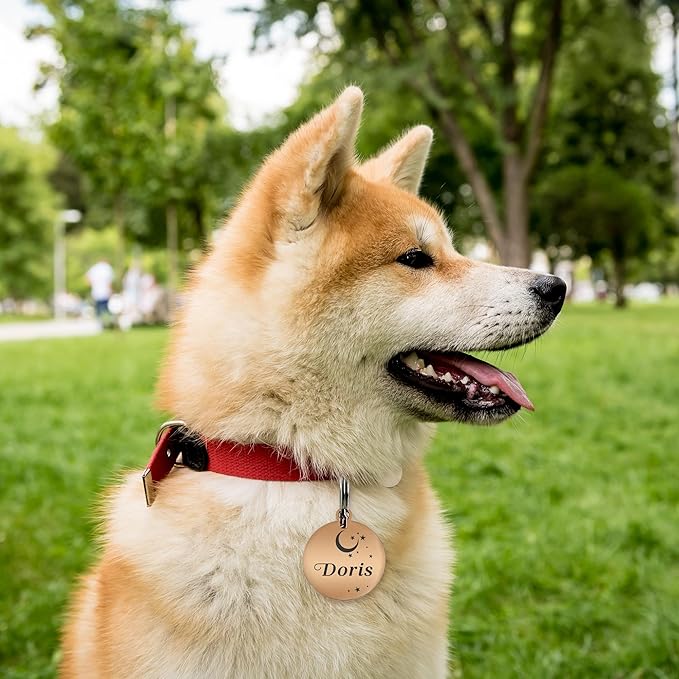 Dog Tags Engraved for Pets Personalized Dog Name Tags Dog ID Tags Small Cat Tags Large Dog Collar Tags Custom Text Stainless Steel Engraved on Both Sides(S Black)