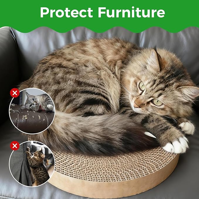 Round Cat Scratcher Refill, 10 Inch Cat Scratching Board for Indoor Cats, Cardboard Cat Scratcher Pads Circle Replacement, Double-Sided (2 PCS)