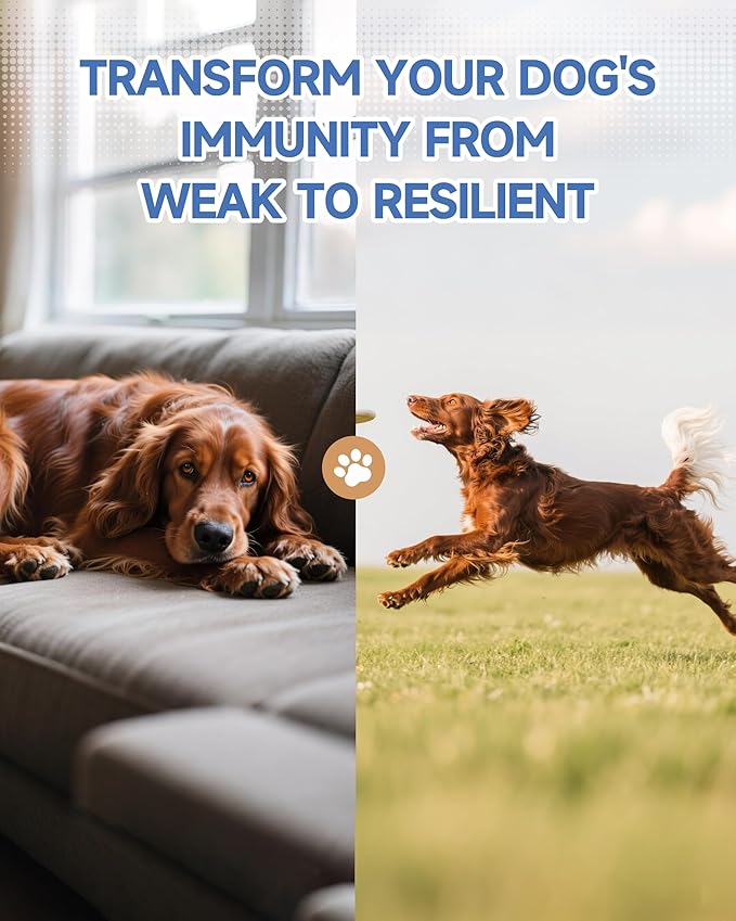 Organic Mushroom Supplement for Dogs - 18-in-1 blend with Turkey Tail, Reishi, Lion's Mane. Supports immune defense, allergy relief, joint & skin health. Tasty roast chicken flavor liquid, 60mL