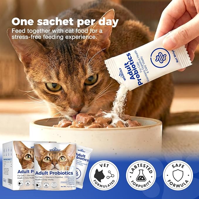 Cat Probiotics Gut – Constipation Relief – Supports Immunity, Regularity, & Healthy Digestion, 30-Day Supply (Adult Formula)