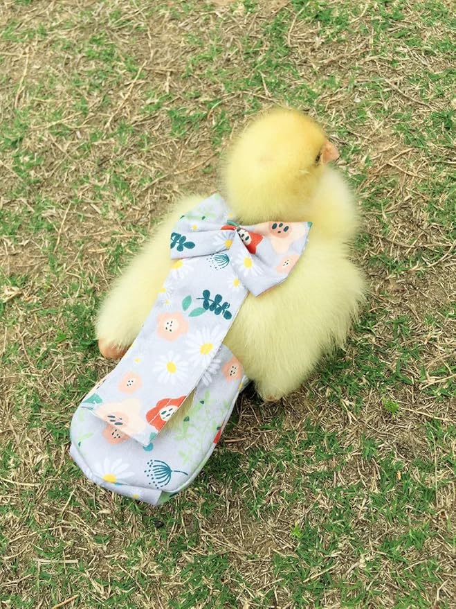 Duck Diapers, Chicken Diapers, Special Diapers for Poultry, Chicken, Duck and Goose Waterproof, Adjustable, Washable and Reusable Diapers，Poultry Supplies, Duck Supplies (S：100克-200克)