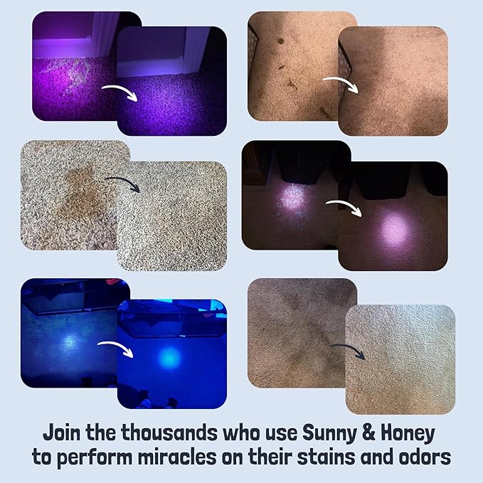 Sunny & Honey Pet Stain Remover - Enzyme Cleaner For New & Deep Set Stains - Carpet Deodorizer & Urine Odor Eliminator for Dog Pee, Cat Urine, Upholstery & Furniture (32 fl oz, Fall Spice)
