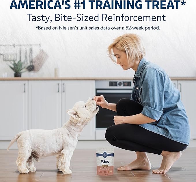 Blue Buffalo Bits Soft Dog Treats for Training, Made with Natural Ingredients & Enhanced with DHA, Salmon Recipe, 4-oz Bag