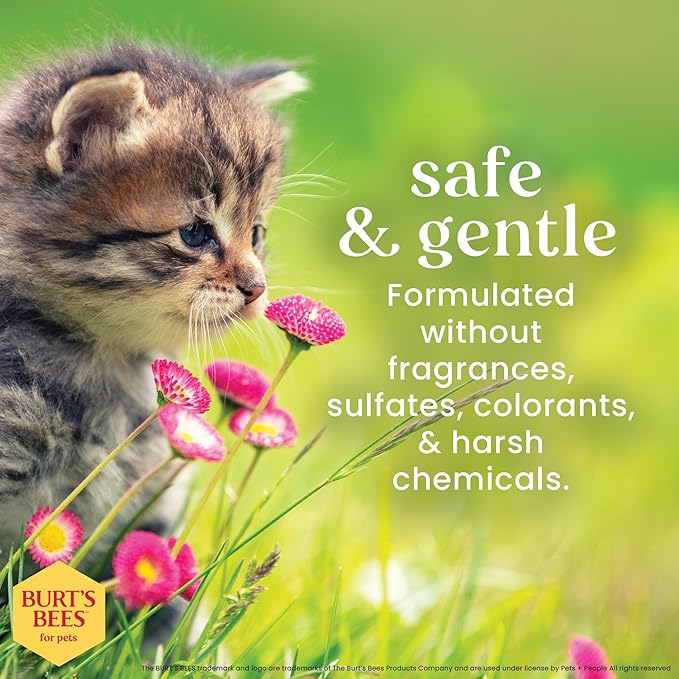 Burt's Bees for Pets Tearless Kitten Shampoo with Buttermilk, 99.3% Natural Origin Formulas, Pet Cleanser for Cats, Gentle Cat Wash for Itchy Skin, 6pk, 10 oz