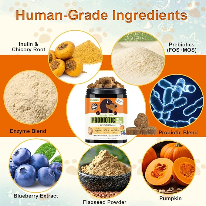 Dog Probiotic Soft Chews 200, Support Gut Health, Immunity, Diarrhea Gas Relief Digestive Balance, Relieve Itchy Skin, with Pumpkin Blueberry, 6 Digestive Enzymes, 4 Prebiotics, 6 Probiotics for Dogs