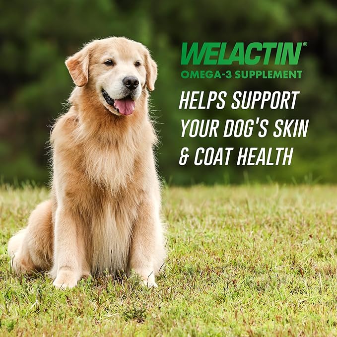 Nutramax Welactin Canine Softgels, Omega 3 Supplement for Dogs, Softgels, 120 Count