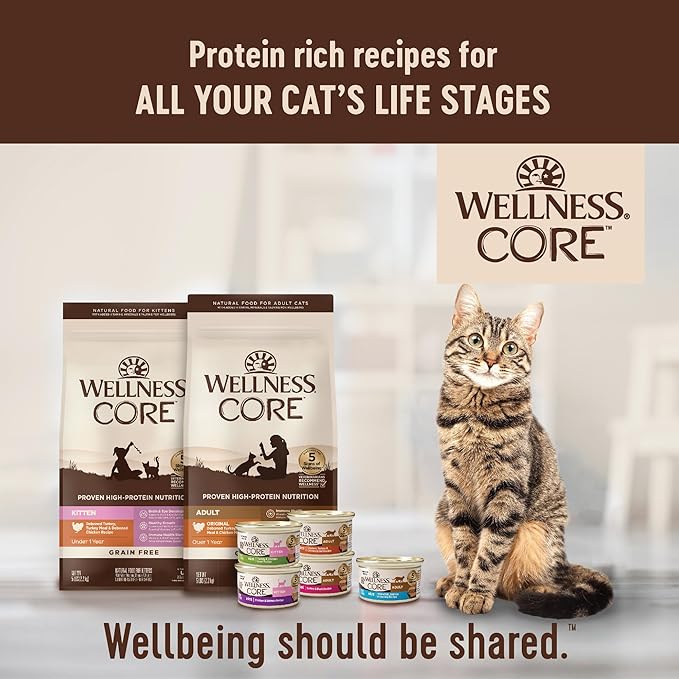 Wellness CORE Signature Selects Shredded Adult Wet Cat Food, Natural, Protein-Rich, Grain Free, 5.3 Ounce, 12 Pack (Chicken & Chicken Liver)