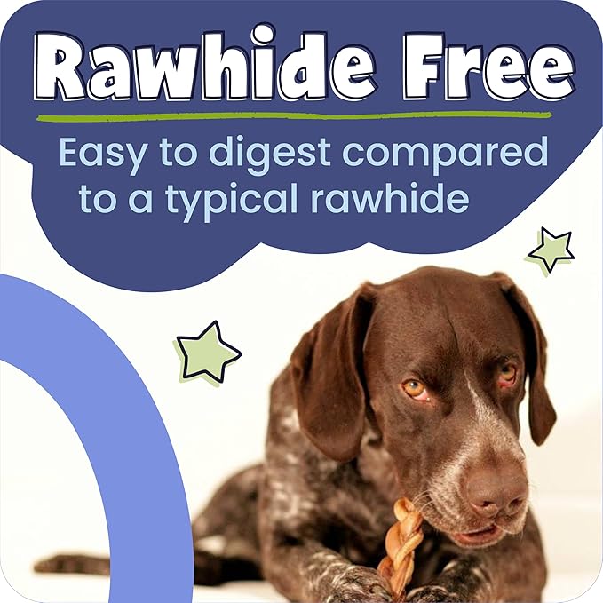 Pawstruck Natural 5" Braided Bully Sticks for Dogs - Long Lasting Rawhide Free Low Odor Single Ingredient Chew Treat for Aggressive Chewers - 1lb Bag