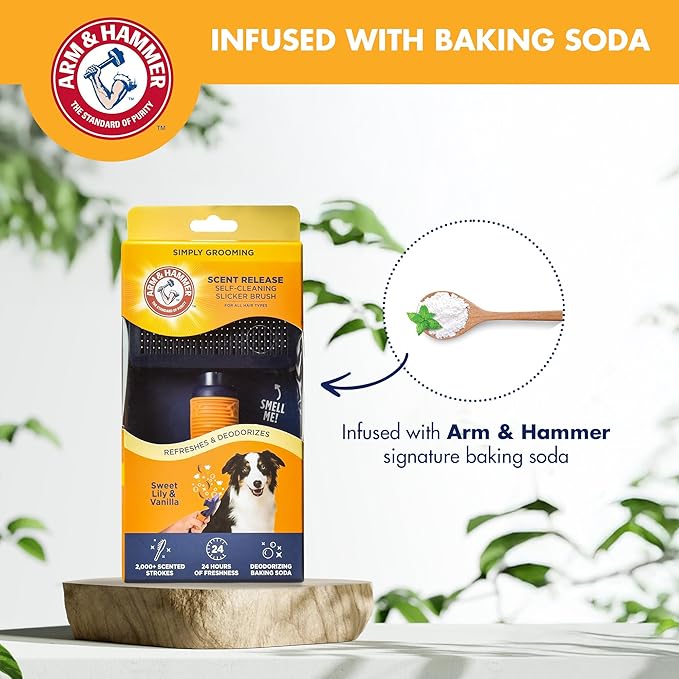 Arm & Hammer Deodorizing Slicker Brush for Dogs with Fragrance Transfer Technology – Scented Self-cleaning Dog Brush - Dog Grooming Brush for Shedding, Sweet Lily & Vanilla Scent