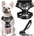 PUPTECK Soft Mesh Dog Harness and Leash Set Pet Puppy Cat Comfort Padded Vest No Pull Harnesses, Black, S