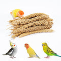14 Oz Spray Millet Treat for Bird, for Parrot, Budgies, Parakeets, Cockatiels, Finches, Lovebirds, Canaries and Other Pet Birds