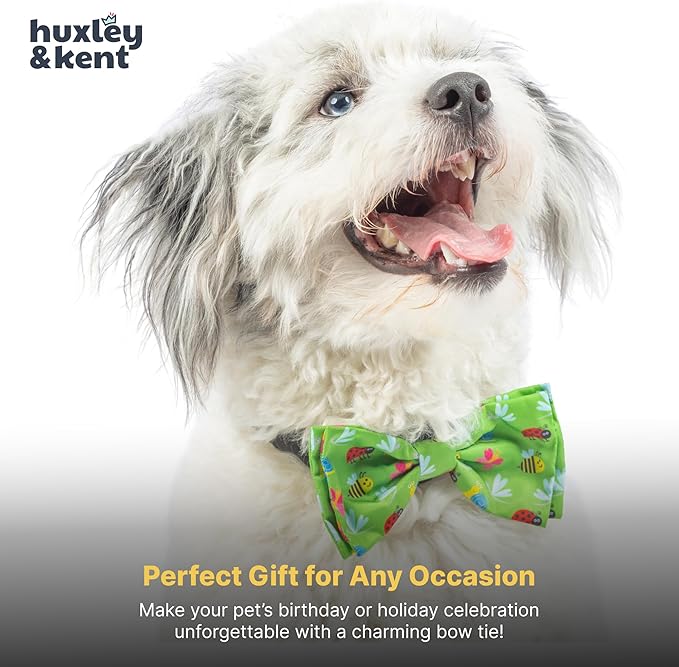 Huxley & Kent Pet Bow Tie for Dogs & Cats - Spring Theme Adjustable Hook & Loop Collar Accessory - Cute & Comfortable for Holidays & Celebrations - Garden Party, Small
