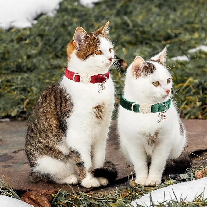 ARING PET 2 Pack Cat Collars-Cute Breakaway Cat Collar with Bell & Pendant, Adjustable Christmas Kitten Collars with Safety Buckle for Girl and Boy Cats