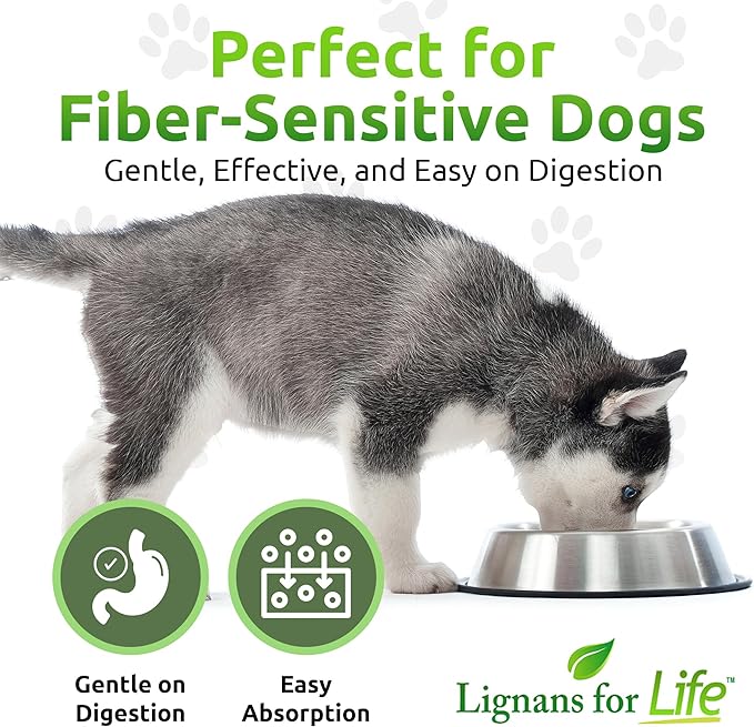 Lignans For Life HMR Lignans 20mg - 90 Capsules - Vitamin for Healthy Pet | Natural Multivitamin | Wellness Supplement | Overall Health with Phytonutrients
