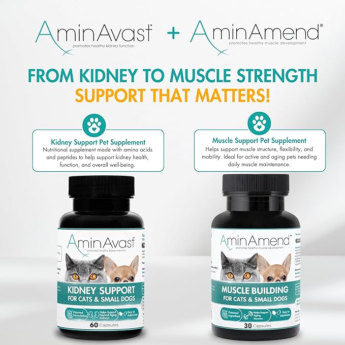 Muscle Support Pet Supplement for Small Dogs & Cats with CaHMB & Vitamin D3 – All Ages & Senior Dog Supplements for Muscle Strength, Mobility & Daily Activity – (30 Capsules)