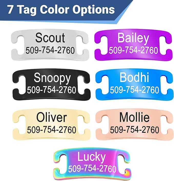 GoTags Personalized Reflective Cat Collars with Tag, Engraved Custom with Name and Phone, Breakaway Collar with Safety Buckle and Bell, Adjustable for Cats and Kitten, (Pink with Nameplate)