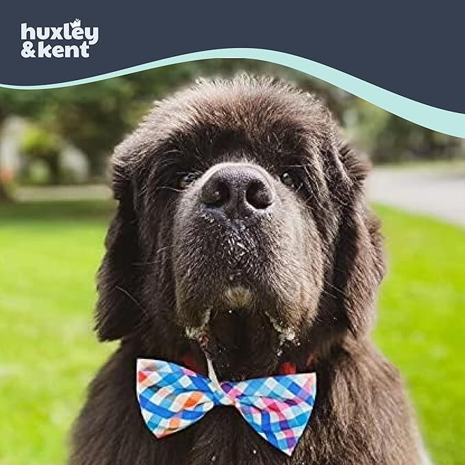 Huxley & Kent Pet Bow Tie for Dogs & Cats - Adjustable Hook & Loop Collar Accessory - Cute & Comfortable for Holidays & Celebrations - Blue/Green Check, Small