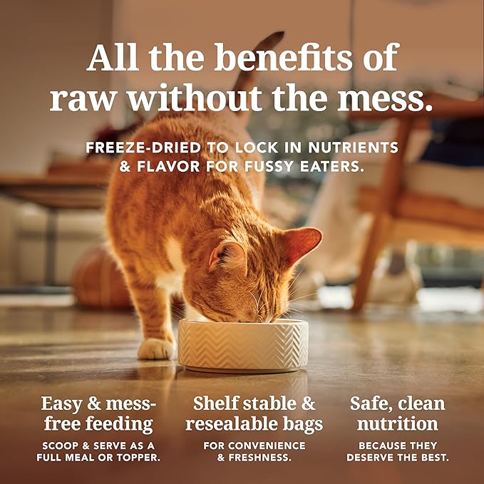 Feline Natural Freeze Dried Cat Food - Grain-Free and High Protein Cat Food from New Zealand, Complete Meal or Topper for Kittens, Adults, and Senior Cats, Chicken and King Salmon, 100g