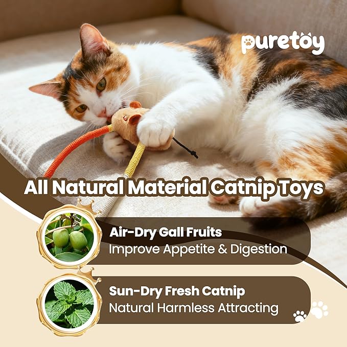 Cat Chew Ropes with Catnip Mouse, 3Pcs Cat Chew Toys for Large Cats Enrichment, 3-in-1 Catnip Toys Mouse & Strong Braided Ropes & Gall Fruits, Cats Teething Toys