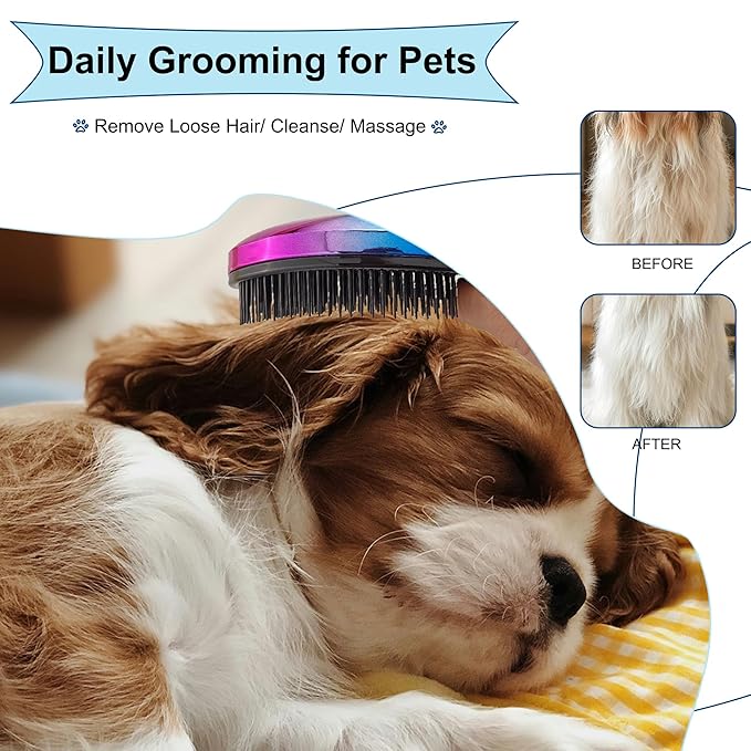 Gentle Grooming Puppy Brush with Gift Box ， Fit for Small Dog ， Yorkie, Shih Tzu, Maltipoo, Maltese and Pomeranian ，Toy Poodle Accessories, Soft Bristle (Gradient Color)