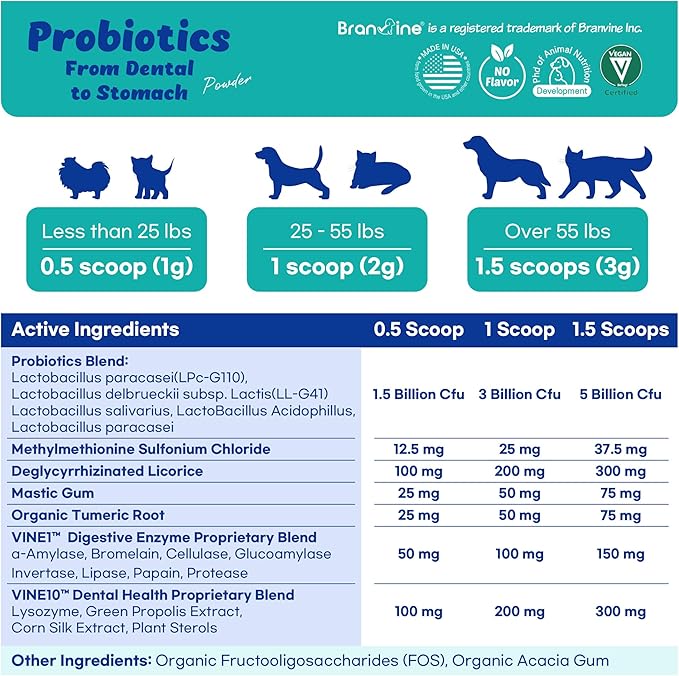 Dental-Stomach Probiotics - Patented 2-Strain Probiotics That Help Oral Health, Vitamin U, Mastic Gum, DGL, Propolis, Digestive Enzymes (120g)